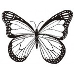 A3094 Butterfly