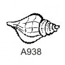A938 Seashell