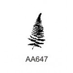 AA647 Fern