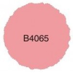 B4065 Reverse Image Stamp