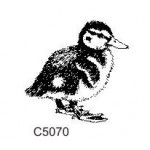C5070 Duckling