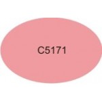 C5171 Reverse Image Stamp