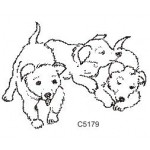 C5179 Puppies