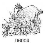 D6004 Daffodil Lamb