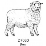 D7030 Ewe