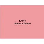 E7017 Reverse Image Stamp