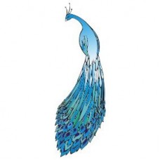 F8162 Peacock